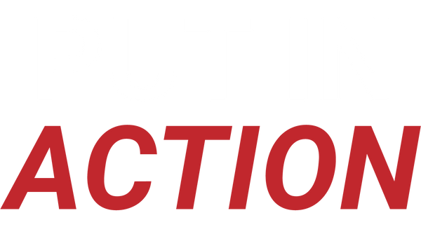 Put In Action logo